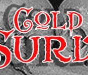 cold-war-survivor-logo