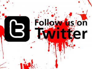 Twitter Follow Hudson Valley Horrors Roller Derby